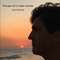 Pra Que Serve uma Canção - Single - Nico Rezende