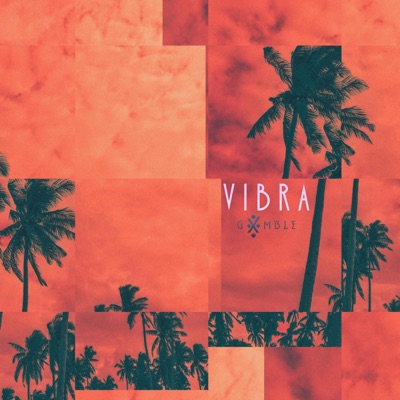 Vibra - Single