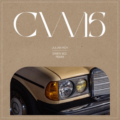 Catch What I'm Saying (Remix) [Remix] - Single