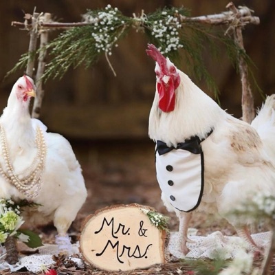 Ch1cken Girl (feat. Gutta Ray) - Single