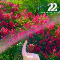 22: Love, or Lack Thereof - Sol