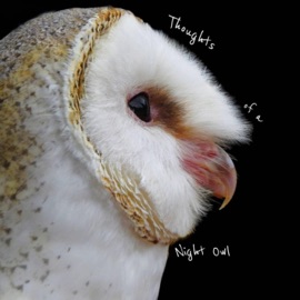 Thoughts of a Night Owl Rick G