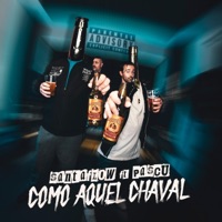 Como aquel chaval (feat. Pascu) - Single - Santaflow