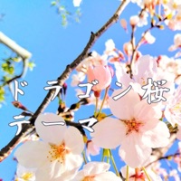 Dragon Zakura - Single