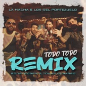 Todo Todo (feat. Los del Portezuelo) [Remix] artwork