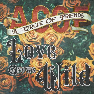 Love Grows Wild - Single