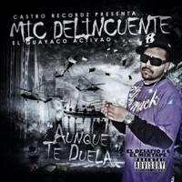Colombiana (feat. Renato 507) - Single - Mic Delincuente