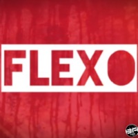 Flexo - Single - Street Arm
