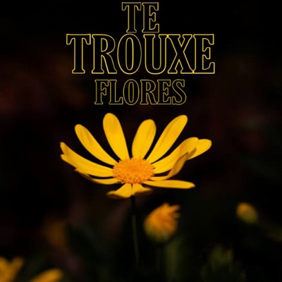 Te Trouxe Flores - Single