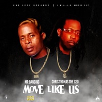 Move Like Us (Radio Edit) - Single - Chris Thomas the CEO & Mr Banging