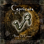 Capricorn: The Zodiac Collection artwork