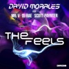 The Feels (feat. Mr. V, DJ Rae & Scott Paynter) - Single