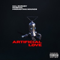 Artificial Love (feat. PmBata) - Single - Promoting Sounds & Cal Scruby