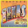 Live in Texas - Dead Armadillos