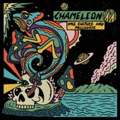 Chameleon artwork