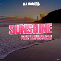 SUNSHINE — DJ HAMIDA