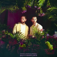 Butterflies (Party Pupils Remix) - Single - MAX & Ali Gatie