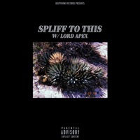 Spliff to This (feat. Lord Apex) - Single - bc.einstein
