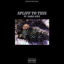 Spliff to This (feat. Lord Apex) bc.einstein