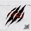 Scars Scars Scars - Single