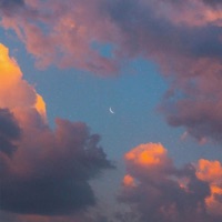 Windward (feat. ØDYSSEE) - Single - Anbuu, Pandrezz & Epektase