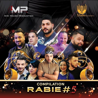 Song - تمنيت لو كان - الشاب رضا