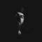 Seek Jesus Face - TJ Carroll lyrics