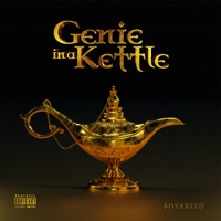 Genie in a Kettle - EP - Boybreed
