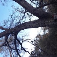 No County Rednecks - Single - No County Rednecks