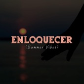 Enloquecer (Summer Vibes) artwork