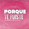 Porque Te Fuiste (Remix) - Single