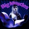Pooch - Big Muscles lyrics
