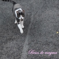 Besos de Magma - Single - B0hemi0