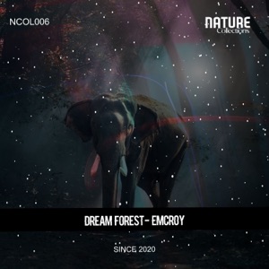 Dream Forest - Single