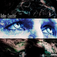 Roller Coaster - Single - 22 Wolf