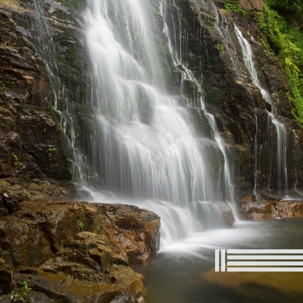 Waterfall Sounds - A Forest Creek (Loopable, No Fade)
