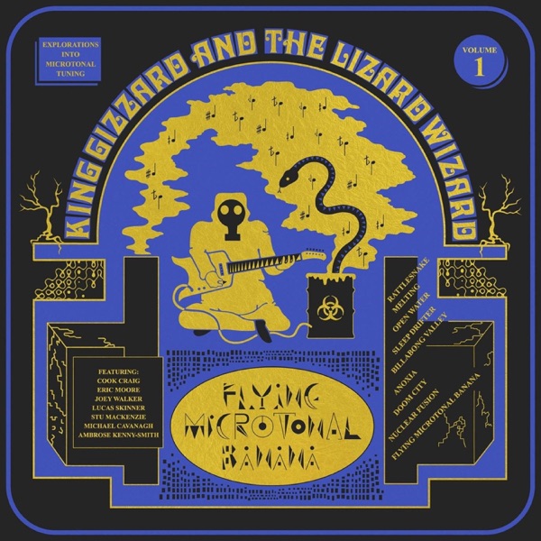 Flying Microtonal Banana cover