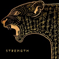 Strength - Single - Share The Light