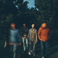 Echoes of Zoo