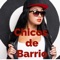 Chicos De Barrio - Mauricio Sanchez Rincon lyrics