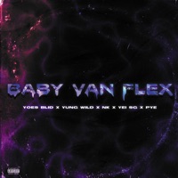 Baby Van Flex (feat. Yung Wild, NK, PYE & Yei SG) - Single - Yoes Blid