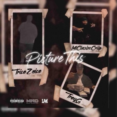 Picture This (feat. ML CLASIXC CRIIP & Trey G) - Single