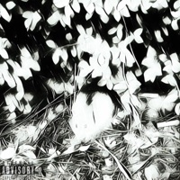 Spinal Fluid - Single - Mimic