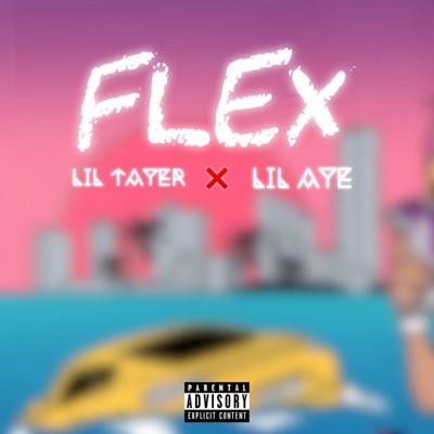 Flex (feat. Lil Aye) - Single