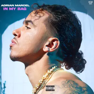 In My Bag - Single by Adrian Marcel album reviews, ratings, credits