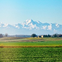 Little Look - Single - Edmund Paquin