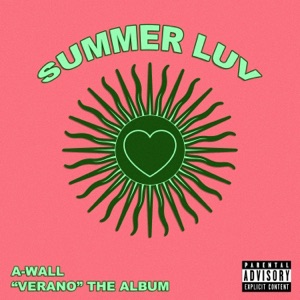Summer Luv - Single