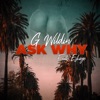 Why Ask Why - Single (feat. Eskaye) - Single