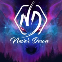 Donde crecí (feat. Traizor ND & Axel LN) - Single - Never Down