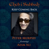 Keep Coming Back (feat. Azam Ali) artwork